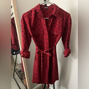 Express Red Polka Dot Dress